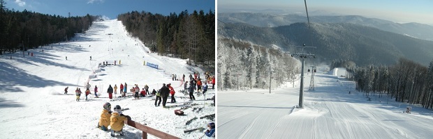 jaworzynak_stoi